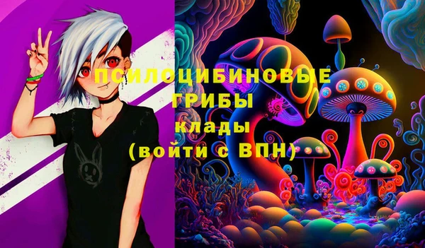 a pvp Армянск
