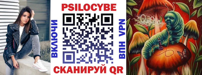 Галлюциногенные грибы Psilocybe  Волгоград 